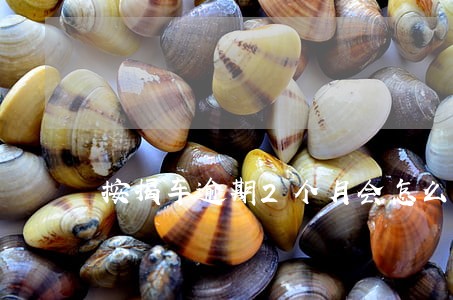 按揭车逾期2个月会怎么样 按揭车逾期2个月会怎么样