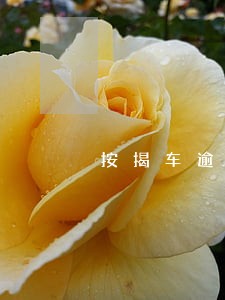 按揭车逾期3天被拖走合法吗 按揭车逾期3天被拖走合法吗