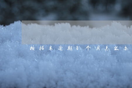 按揭车逾期8个月怎么办 按揭车逾期8个月怎么办