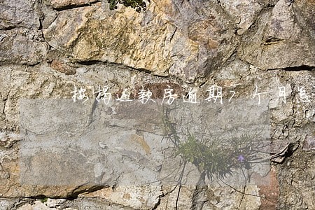 按揭还款房逾期7个月怎么办 按揭还款房逾期7个月怎么办