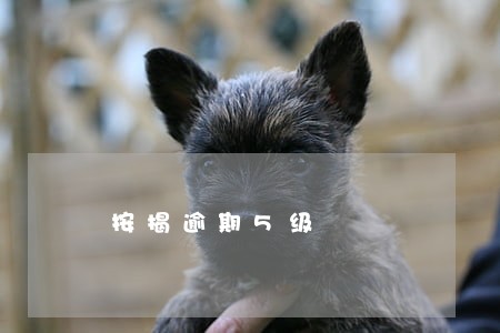 按揭逾期5级 按揭逾期5级
