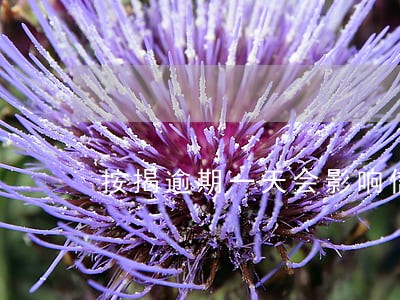 按揭逾期一天会影响信用吗 按揭逾期一天会影响信用吗