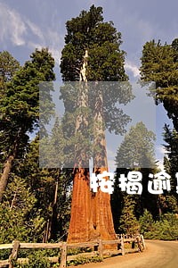 按揭逾期可以贷款吗 按揭逾期可以贷款吗