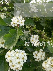 按揭逾期还款个人信用 按揭逾期还款个人信用