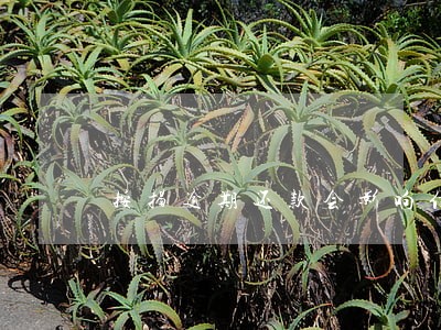 按揭逾期还款会影响信用记录 按揭逾期还款会影响信用记录