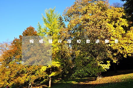 按揭银行没扣款逾期费 按揭银行没扣款逾期费