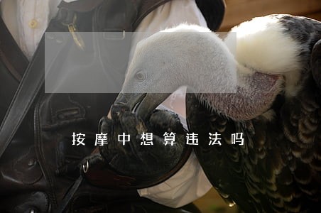 按摩中想算违法吗