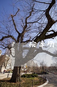 按摩场所有打飞机服务算违法吗 按摩场所有打飞机服务算违法吗