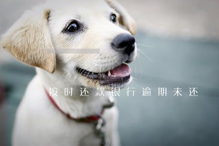按时还款银行逾期未还 按时还款银行逾期未还