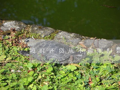 按时还贷从不逾期但就是网贷被拒