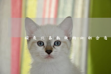 按最低基数缴纳公积金违法 按最低基数缴纳公积金违法