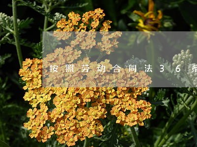 按照劳动合同法36条 按照劳动合同法36条
