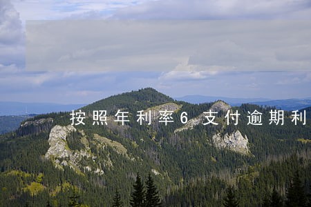 按照年利率6支付逾期利息 按照年利率6支付逾期利息