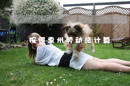 按照惠州劳动法计算 按照惠州劳动法计算