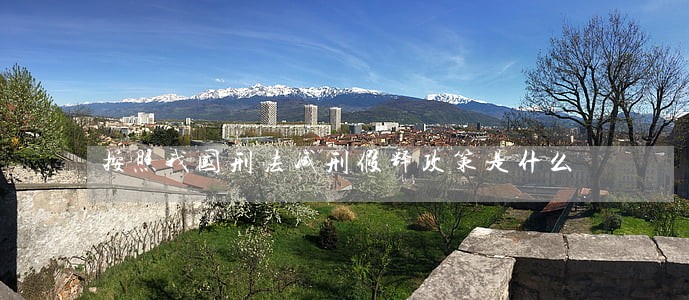 按照我国刑法减刑假释政策是什么 按照我国刑法减刑假释政策是什么