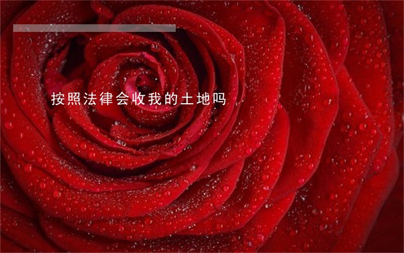 按照法律会收我的土地吗 按照法律会收我的土地吗
