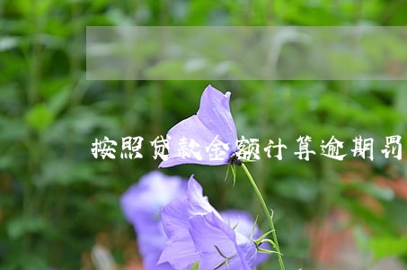 按照贷款金额计算逾期罚息