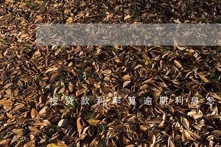 按贷款利率算逾期利息怎么算