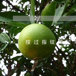 按过指纹做过笔录算违法吗 按过指纹做过笔录算违法吗