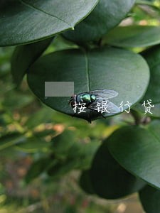 按银行贷款利息加逾期 按银行贷款利息加逾期