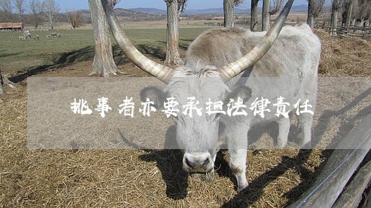挑事者亦要承担法律责任 挑事者亦要承担法律责任