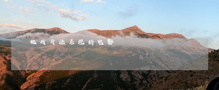 挑战司法系统的电影 挑战司法系统的电影