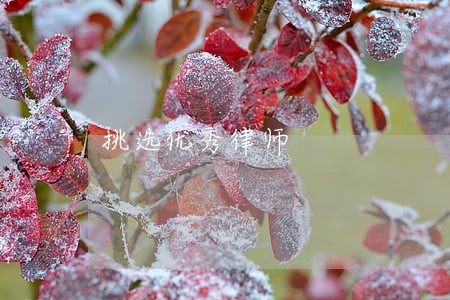 挑选优秀律师 挑选优秀律师
