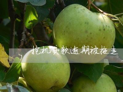 挖机贷款逾期被拖走 挖机贷款逾期被拖走