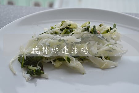 挖林地违法吗 挖林地违法吗