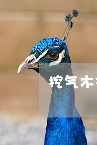 挖气木补偿法规
