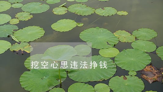 挖空心思违法挣钱 挖空心思违法挣钱