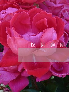 挖贝逾期会从银行卡里面扣吗 挖贝逾期会从银行卡里面扣吗
