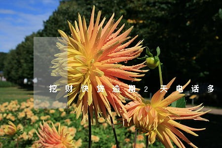 挖财快贷逾期2天电话多 挖财快贷逾期2天电话多