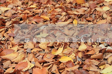 挖鱼塘xx开地私自建房违法吗 挖鱼塘xx开地私自建房违法吗