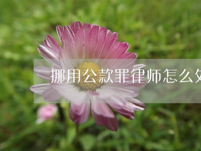 挪用公款罪律师怎么处理 挪用公款罪律师怎么处理