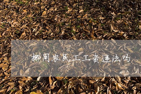 挪用农民工工资违法吗