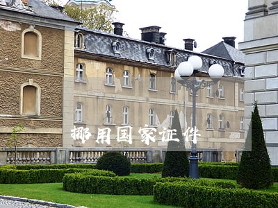 挪用国家证件 挪用国家证件