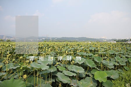 挪用扣押财物 挪用扣押财物