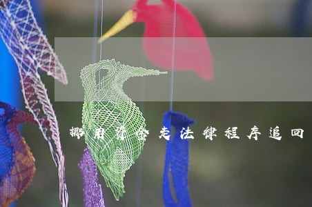 挪用资金走法律程序追回后 挪用资金走法律程序追回后
