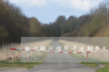 振兴银行信用卡逾期多久上征信 振兴银行信用卡逾期多久上征信