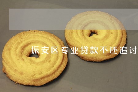 振安区专业贷款不还追讨律师