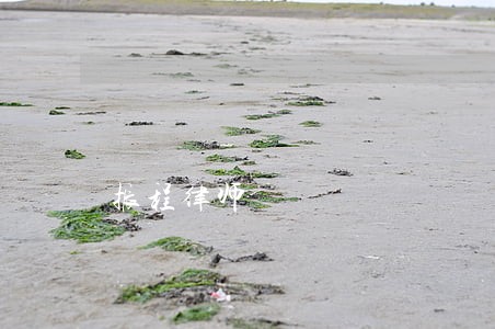 振程律师 振程律师