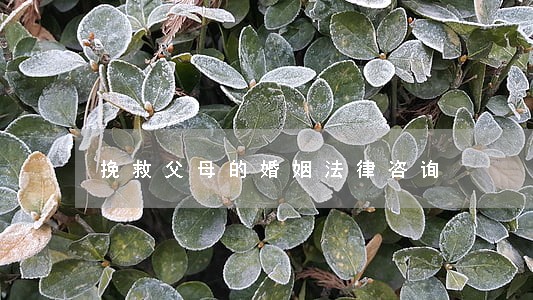 挽救父母的婚姻法律咨询 挽救父母的婚姻法律咨询