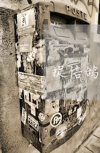 捉信鸽违法 捉信鸽违法