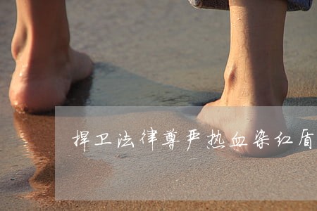 捍卫法律尊严热血染红盾 捍卫法律尊严热血染红盾