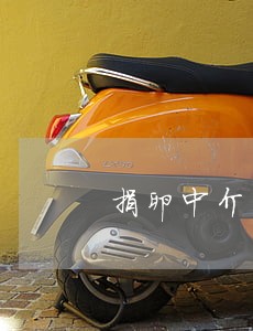 捐卵中介不违法 捐卵中介不违法