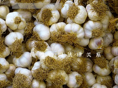 捐赠合同法律关系