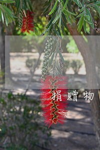 捐赠物品分了违法吗 捐赠物品分了违法吗