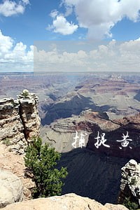 捕捉黄鼠狼违法吗 捕捉黄鼠狼违法吗