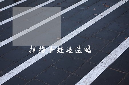 捕捞青蛙违法吗 捕捞青蛙违法吗